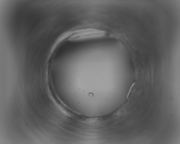 X0000081280054200702082003