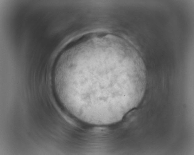 X0000081280055200702082003