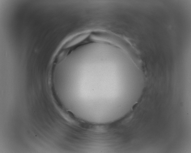 X0000081280056200702082003