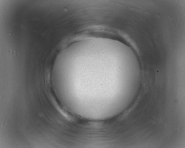 X0000081280057200702082003