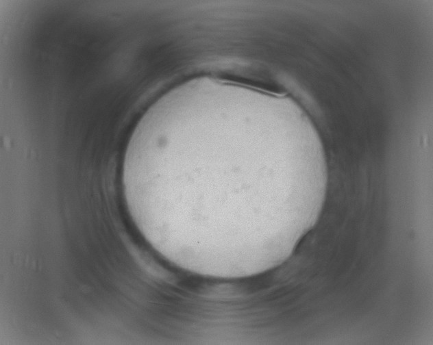 X0000081280058200702082003