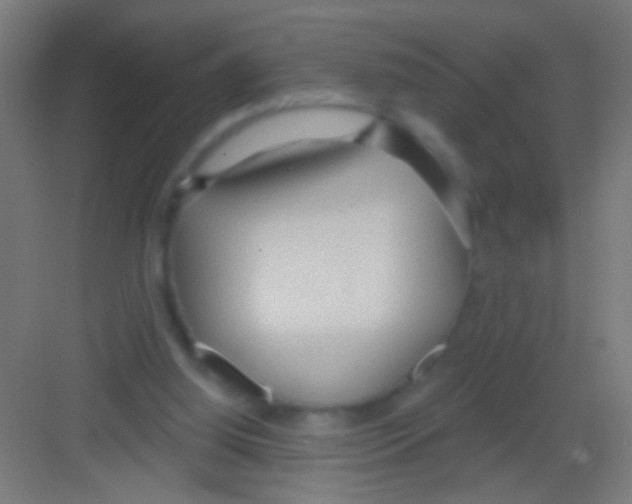 X0000081280060200702082003