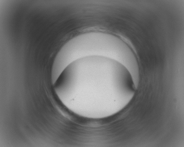 X0000081280061200702082003