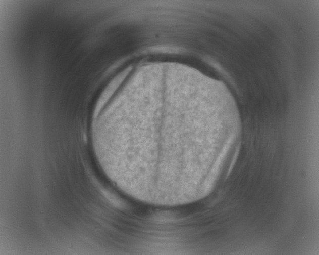 X0000081280062200702082003