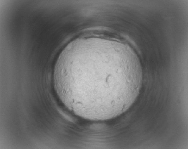 X0000081280063200702082003