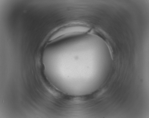 X0000081280064200702082003