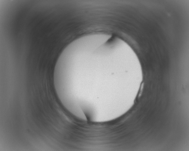 X0000081280065200702082003