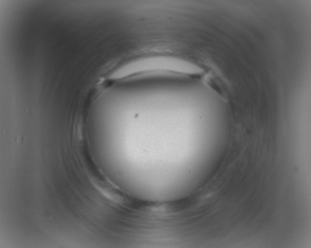 X0000081280068200702082003