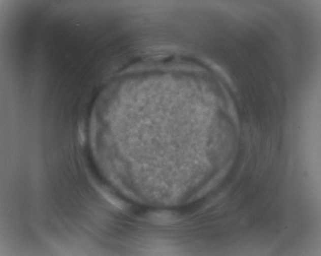 X0000081280069200702082003