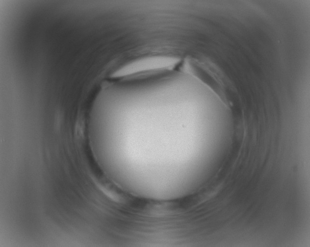 X0000081280072200702082003