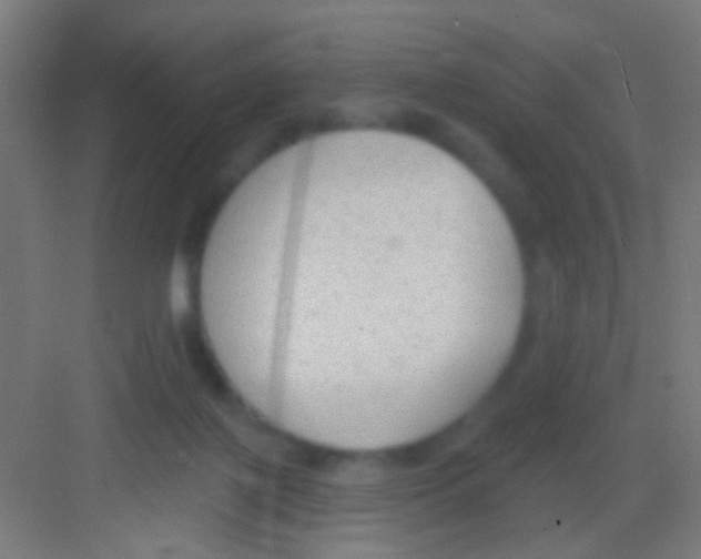 X0000081280075200702082003