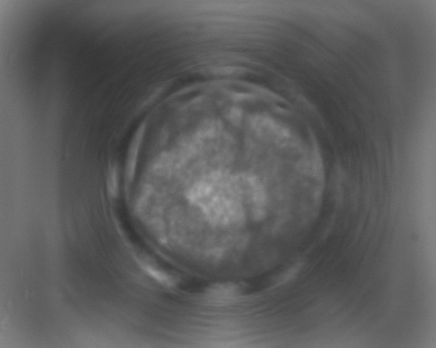 X0000081280076200702082003