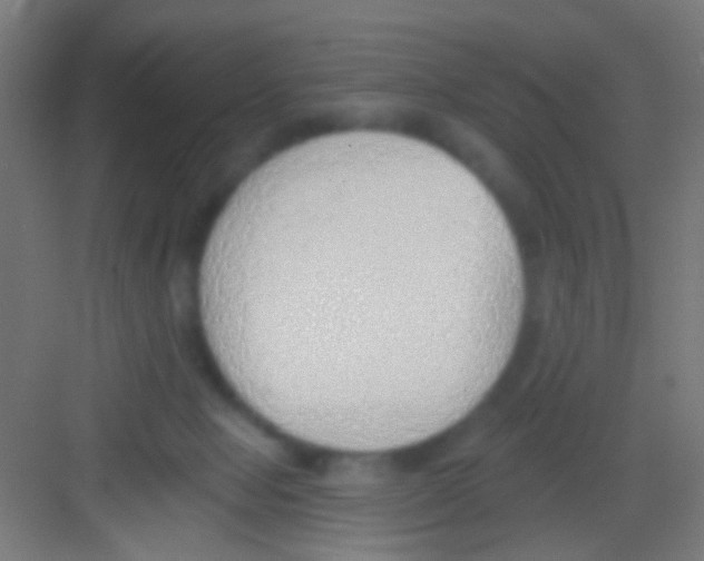 X0000081280077200702082003