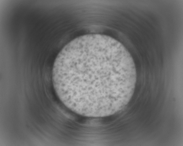 X0000081280078200702082004