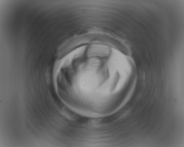 X0000081280080200702082004