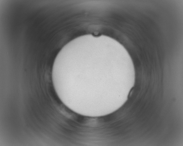 X0000081280083200702082004