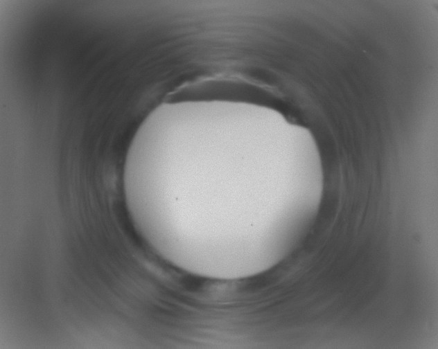 X0000081280084200702082004