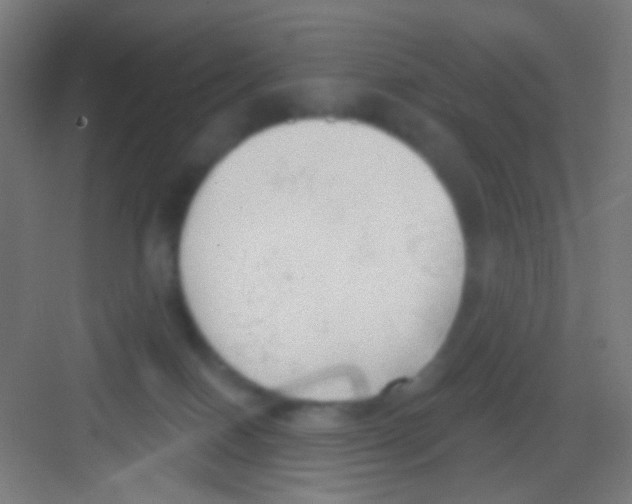 X0000081280086200702082004