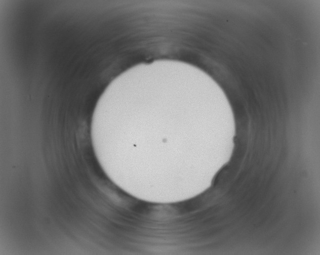 X0000081280087200702082004