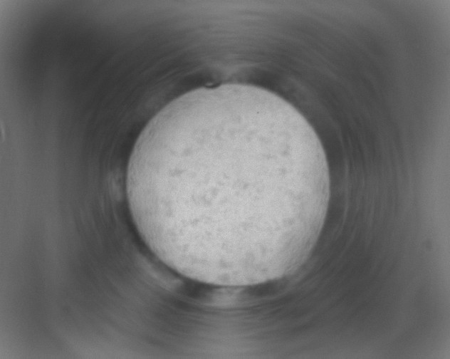 X0000081280090200702082004