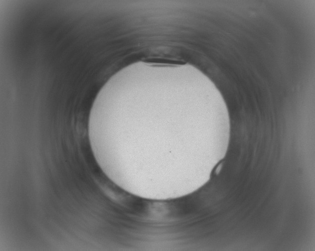 X0000081280091200702082004