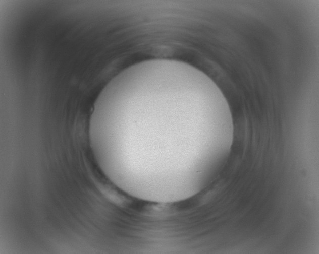 X0000081280092200702082004