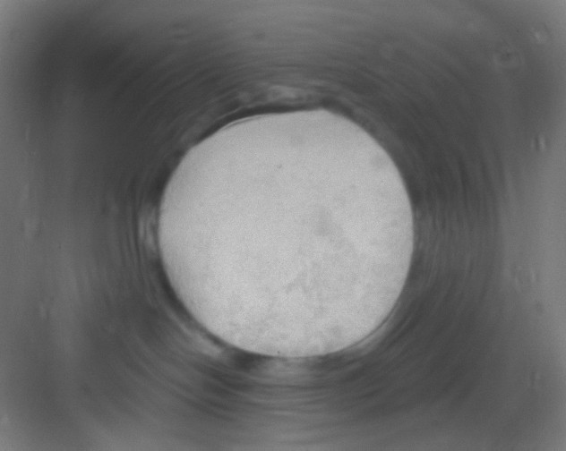 X0000081280094200702082004