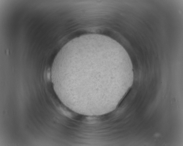 X0000081280095200702082004