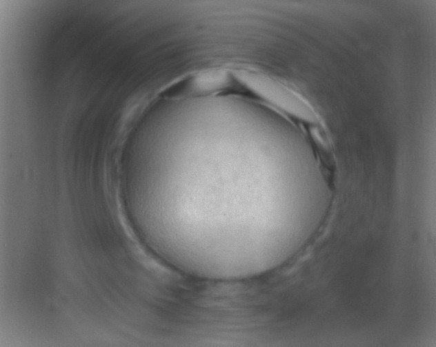 X0000081280097200702082003