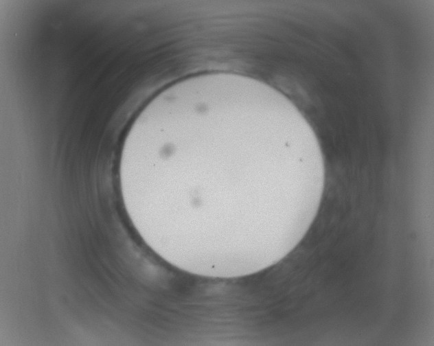 X0000081280098200702082003