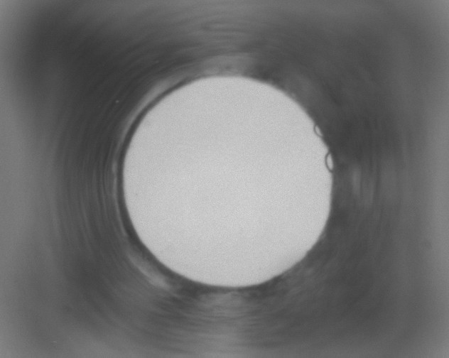 X0000081280100200702082003