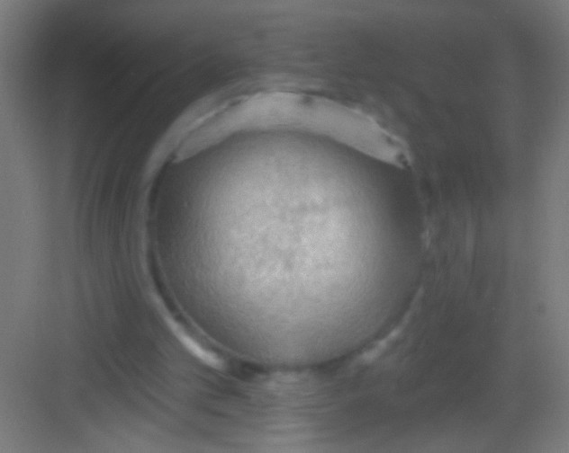 X0000081280101200702082003