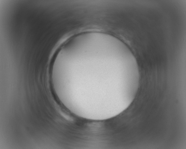 X0000081280102200702082003