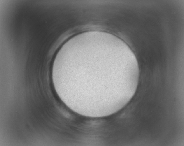 X0000081280103200702082003