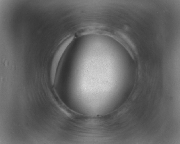 X0000081280105200702082003