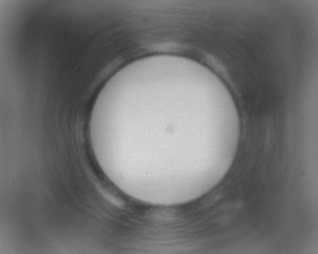 X0000081280106200702082003