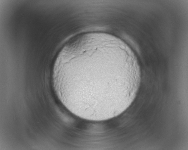 X0000081280107200702082003