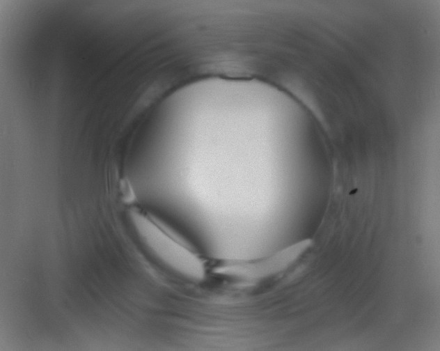 X0000081280109200702082003