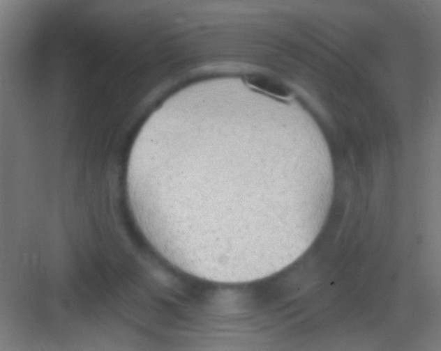 X0000081280111200702082003