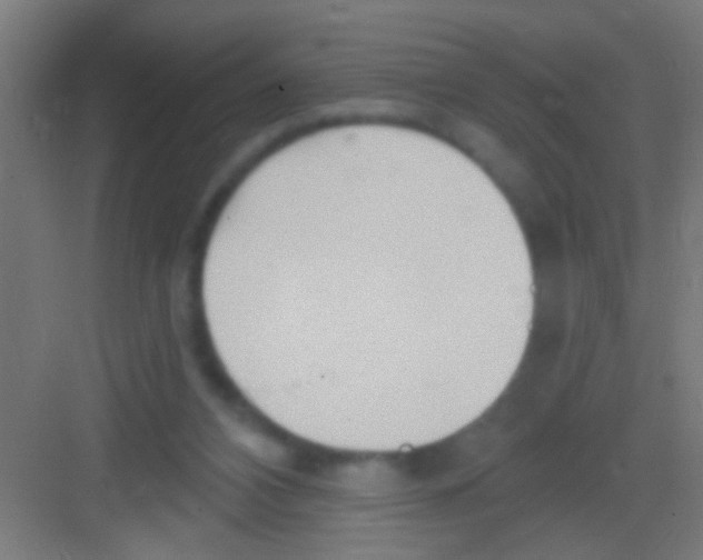 X0000081280112200702082003