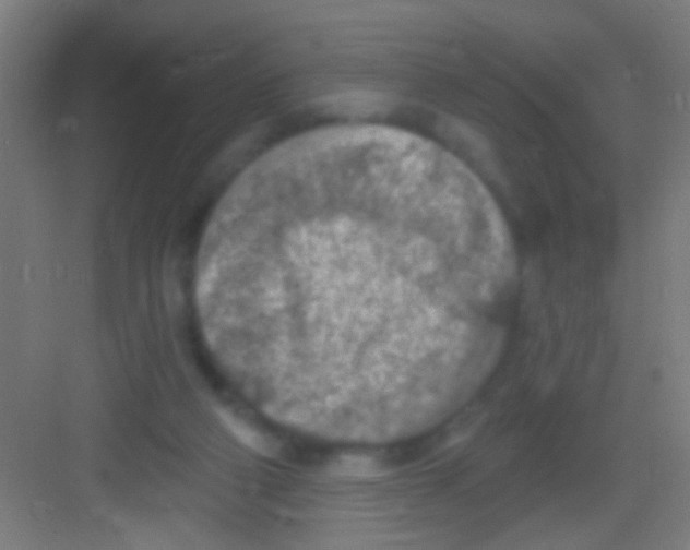 X0000081280114200702082003