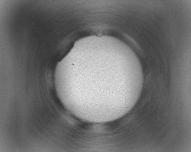 X0000081280121200702082003