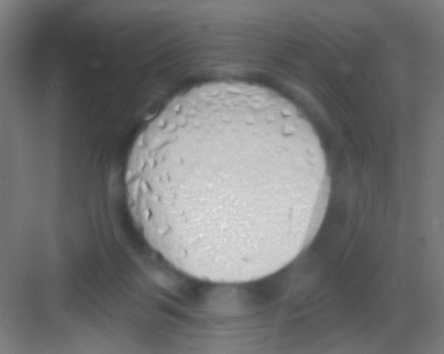 X0000081280123200702082003