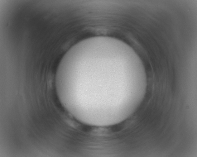 X0000081280125200702082003