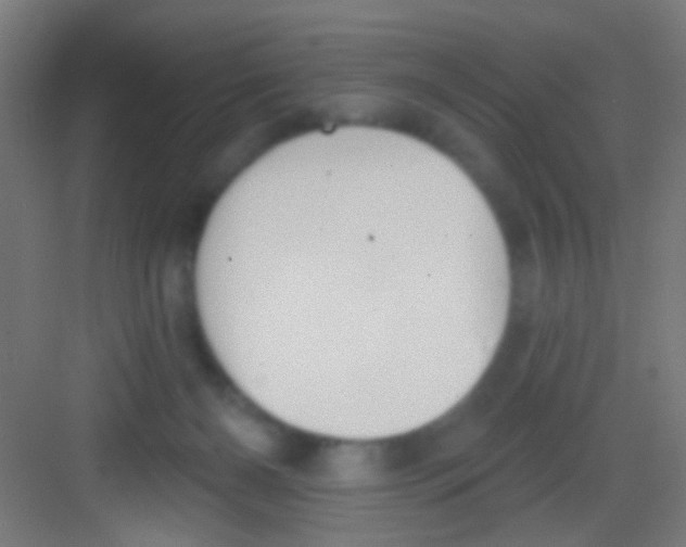 X0000081280126200702082003