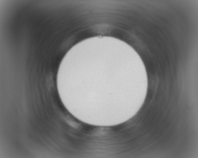 X0000081280128200702082002