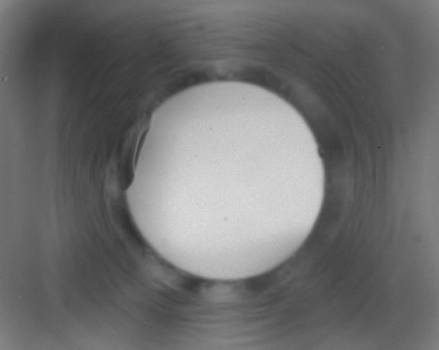 X0000081280129200702082002