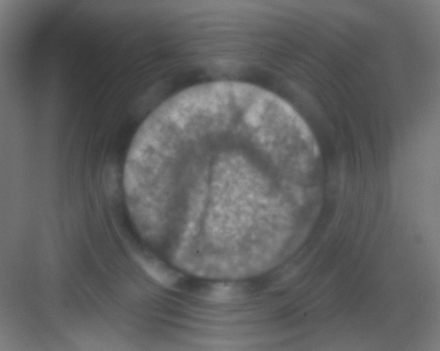 X0000081280130200702082002