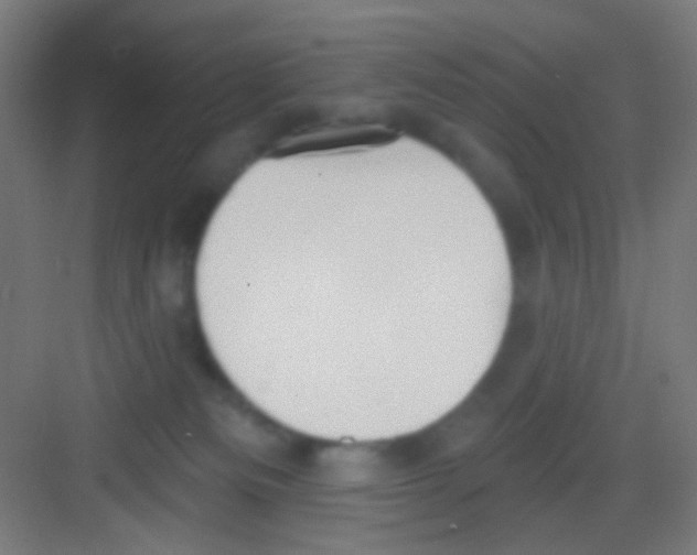 X0000081280133200702082002