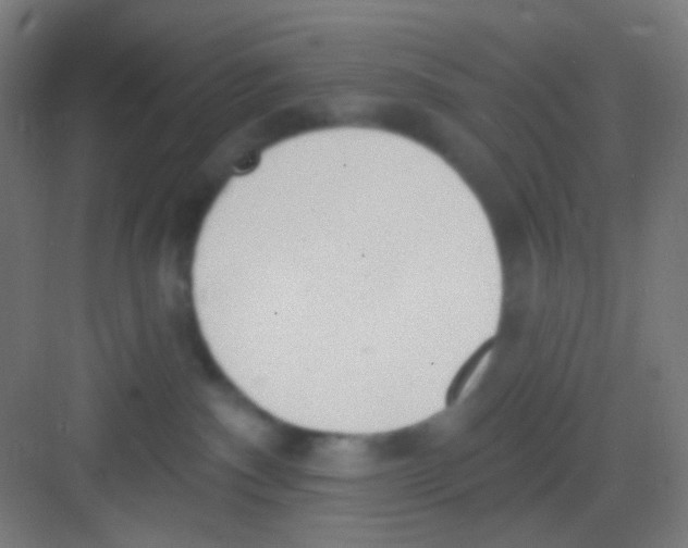 X0000081280140200702082002